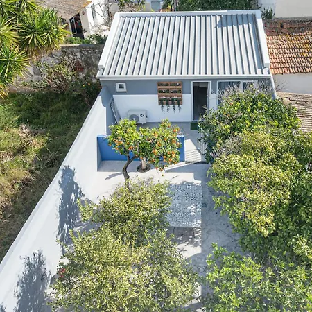 Orangetreehouses