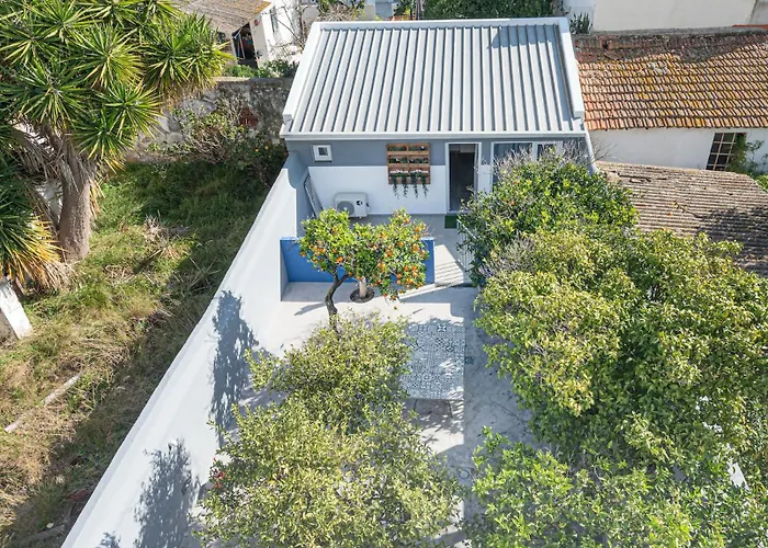 Orangetreehouses