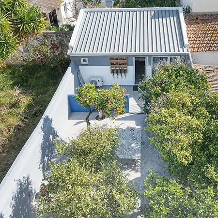 Orangetreehouses